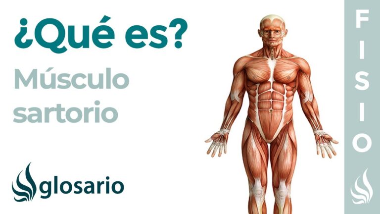 Mejores opciones para cursos de nutrición deportiva en San Fernando de Henares