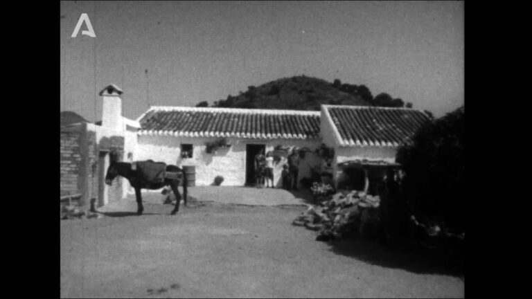 Asociaciones de Cine en Rivas-Vaciamadrid: Guía Completa
