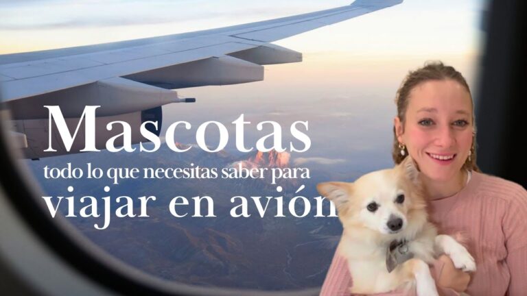 Senderismo con Perros en Torrej&oacute;n de Ardoz: Mejores Rutas y Consejos